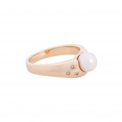 morepic-1