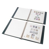 morepic-1