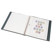 morepic-1