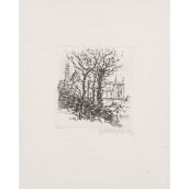 morepic-1