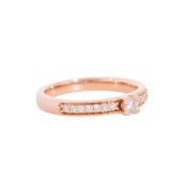 morepic-1