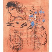 morepic-1