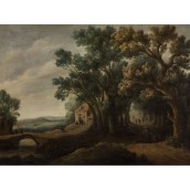 morepic-1