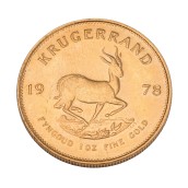 morepic-1