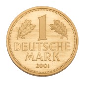 morepic-1
