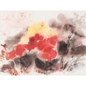morepic-1