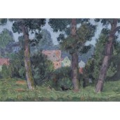 morepic-1