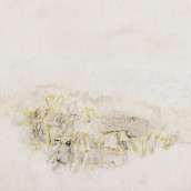 morepic-1