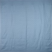morepic-1
