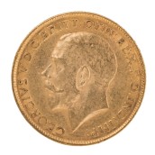 morepic-1