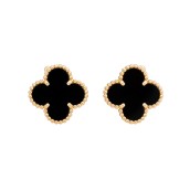 morepic-1