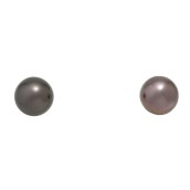 morepic-1