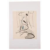 morepic-1