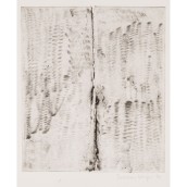 morepic-1