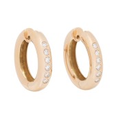 morepic-1