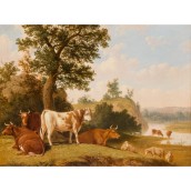 morepic-1