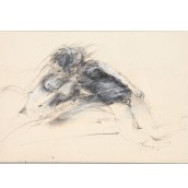 morepic-1