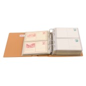 morepic-1