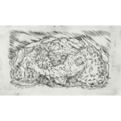 morepic-1