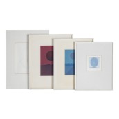 morepic-1
