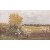 morepic-1