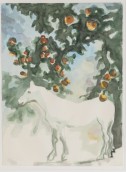 morepic-1