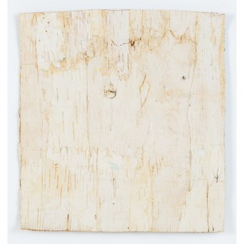 KORNELSON, HEIDE (b. 1946 Salzburg), 'Birch Bark, 