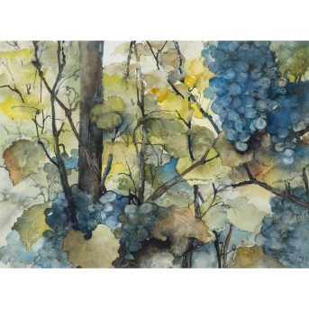 MAIER, LEONIE E. (Stuttgarter Künstlerin 20./21. Jh.), 'Weinreben mit Trauben',