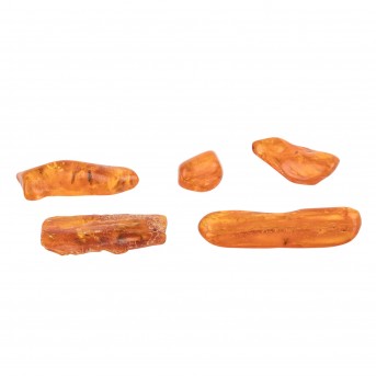 FIVE AMBER STONES WITH MOSTLY MULTIPLE INCLUSIONS OF VARIOUS INSECTS,
