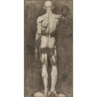KÜNSTLER/IN 19. Jh., 'Männlicher Rückenakt',