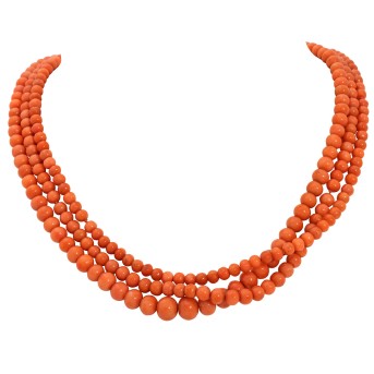 3-reihige Korallenkette,