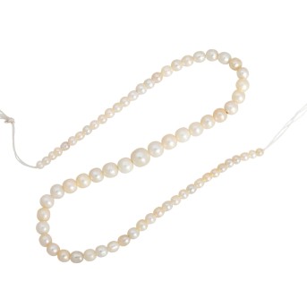 Perlstrang, 69 champagnerfarbene