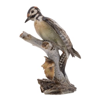 HUTSCHENREUTHER 'Grünspecht', brand from 1970-1985.