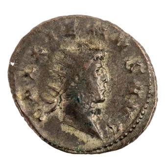 Römische Kaiserzeit - Antoninian Gallienus (253-268),