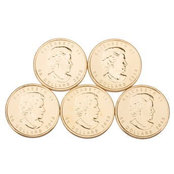 Kanada /GOLDlot - Elisabeth II. 5 x 1 oz Maple Leaf, à 50 Dollars 2013