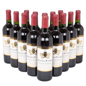 2005 ALEXANDRE DE FONTPIERRE Montagne-Saint-Émilion 14 bottles