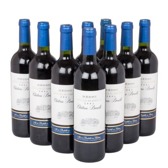 2005 CHÂTEAU BREUILH Médoc 9 bottles,