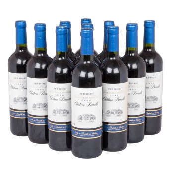 2006 CHÂTEAU BREUILH Médoc 11 bottles,