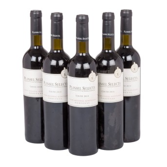 2013 TINTO PLANSEL SELECTA Dorina Lindemann 5 bottles,