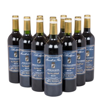 2015/2016 BARON DE MONTFALCON Convolute 10bottles,