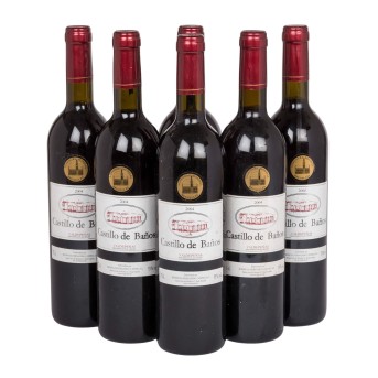 2004 CASTILLO DE BAÑOS VALDEPEÑAS Fernando Castro 6 bottles,