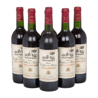 1995 CHÂTEAU CAILLOU DES MARTINS Lussac Saint-Émilion 6 bottles,