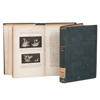 SECCHI, P.A. und DR. H. SCHELLEN (Hrsg.) "Die Sonne" 1872 Band I. und II.