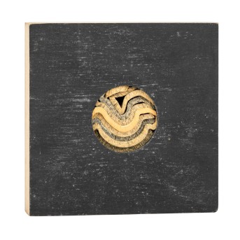 HOFFMEISTER, BEATE (1952) "Kleine Welle" 1999