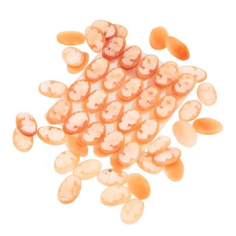 Konvolut 71 Muschelgemmen