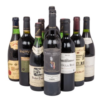 Mixed lot - Mainly Portuguese and Spanish red wines 11 bottles,
