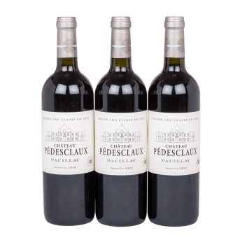 2010 CHÂTEAU PÉDESCLAUX Pauillac 3 bottles,