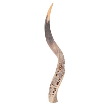 Wohl Kudu-Horn mit geschnitzter Büffel Herde,
