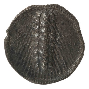 Antike / Lukanien, METAPONT (griechisch)  - Nomos, Stater  (510 - 490 vor Christus),