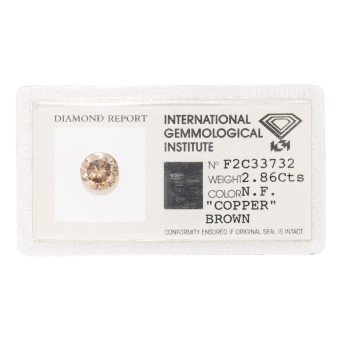 Loser "fancy copper brown" Brillant